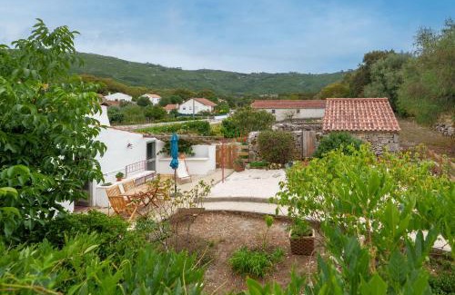 Alvados House | Casa Alba - Alvados