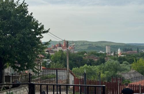 Hunedoara House | Casa Alex