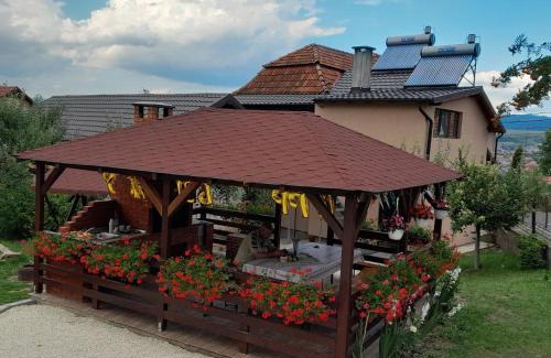 Toplita House | Casa Alex