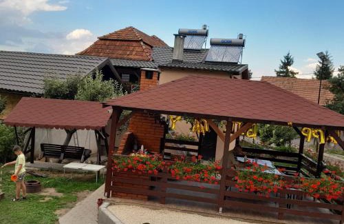 Toplita House | Casa Alex