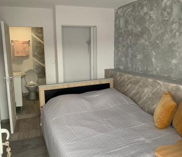 Orsova House | Casa Alexandreea