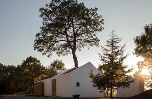 Mazamitla House | Casa Alrededor de un Pino