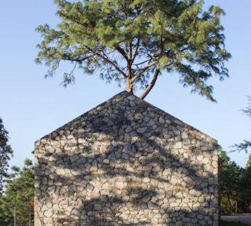 Mazamitla House | Casa Alrededor de un Pino