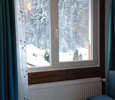 Azuga Cabin | Casa Anda