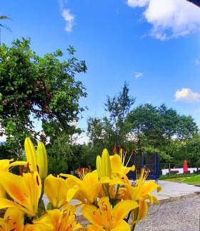 Borsa House | Casa Andreea și Grigore Ursu