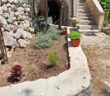 Nerezine Villa | Casa Angelo