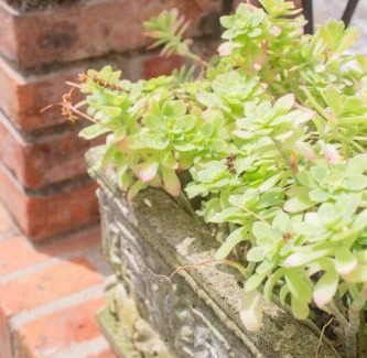 Spilimbergo House | Casa Antica Pietra Spilimbergo