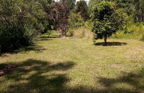 Tigre Cottage | 🏡🌊🌳🌺casa Rural en Medio de la Naturaleza. Paz y Río🚤🌅🛶🌿🌲📸