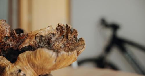 Sarzedas House | Casa Augusta - The Natural Lodgings And Retreats