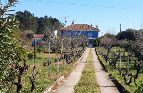 Santa Maria dos Olivais Villa | Casa Azul Tomar holidayhome