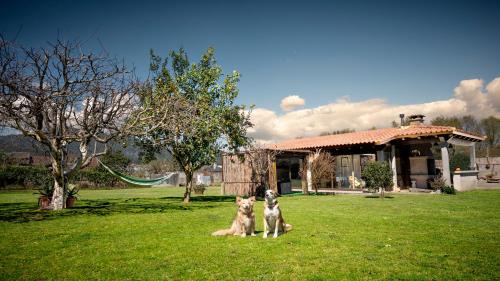 Tui House | Casa Barros