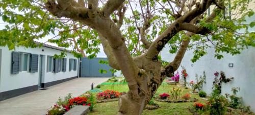 Ponta Delgada House | Casa Belém 5