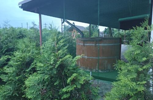 Merei House | Casa Berbec