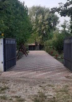 Movilita House | Casa Bițina