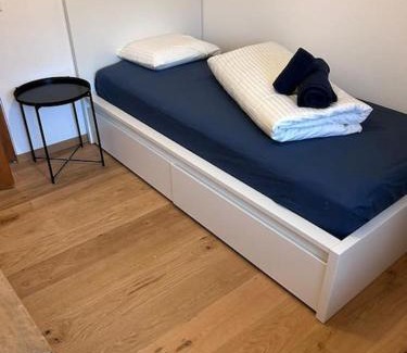 Vignogn Ski Chalet | Casa Biala Dimora - Ski IN/OUT