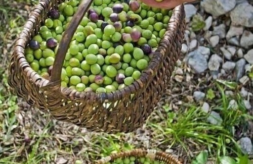 Centro Storico Apartment | Casa Brumar Delizioso Appartamento Monopoli