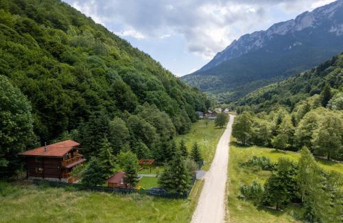 Zarnesti House | Casa Bucuriei - Plaiul Foii, Zărnești