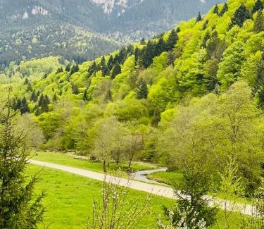 Zarnesti House | Casa Bucuriei - Plaiul Foii, Zărnești