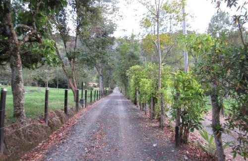 Salento House | Casa Campo Valle De Cocora
