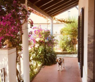 Lourinha House | Casa Cao Verde Charmantes Landhaus mit Garten