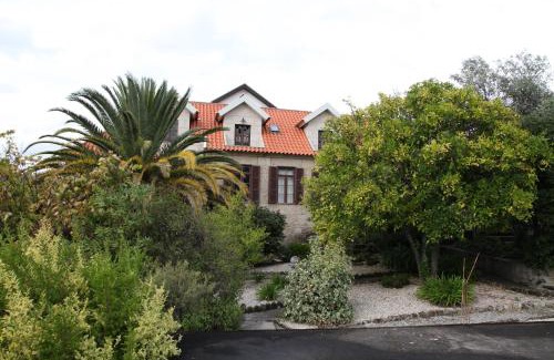 Sao Martinho de Mouros House | Casa Cardoso