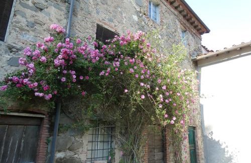 Piegaio Basso House | CASA CARLINO