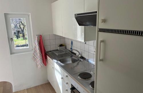 Mosogno House | Casa Caterina