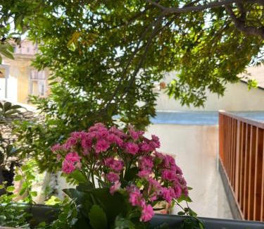 Mirandela House | Casa Cidade Jardim