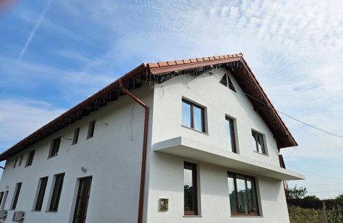 Turda House | CASA Cristian