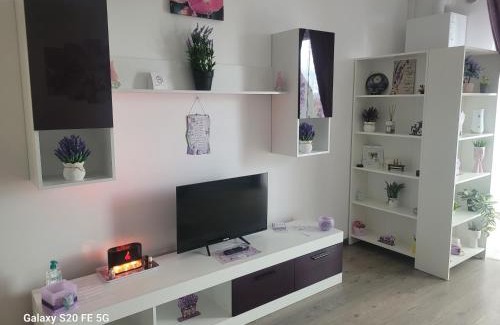 Tractorul Apartment | Casa cu lavanda