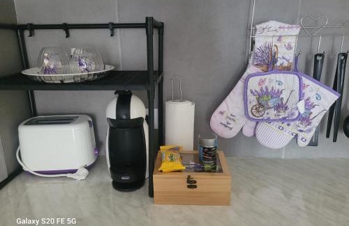 Tractorul Apartment | Casa cu lavanda
