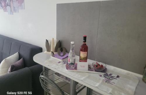 Tractorul Apartment | Casa cu lavanda