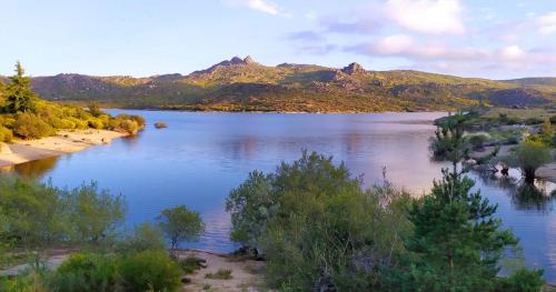 Seia Apartment | Casa d'avó Coragem