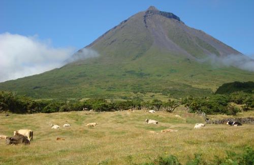 Lajes do Pico House | Casa da Abrótea