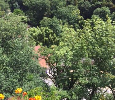 Geres House | Casa da Avó