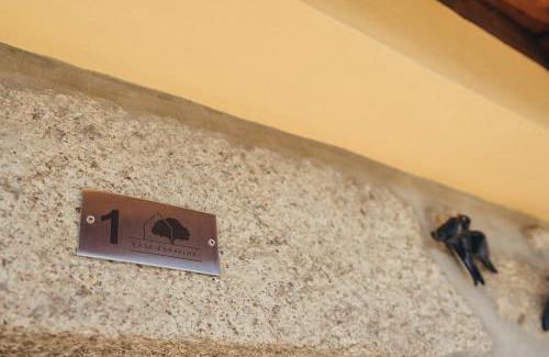 Macieira de Cambra House | Casa da Carvalha