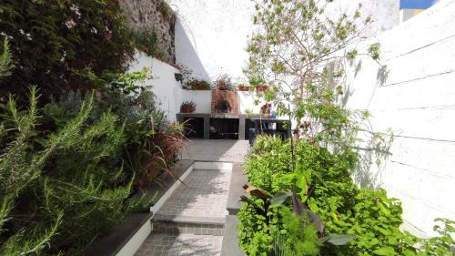 Vila Franca do Campo House | Casa da Corisca