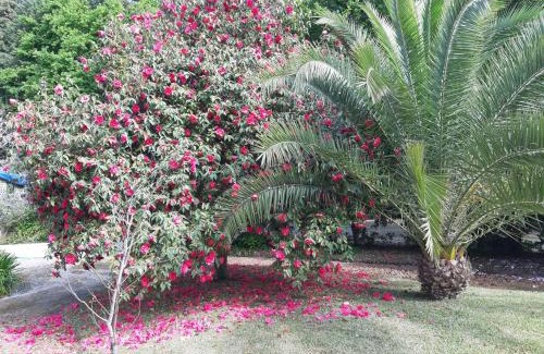 Guimaraes Bed & Breakfast | Casa Da Espinhosa