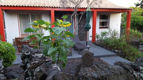 Madalena House | Casa da estrela canopus
