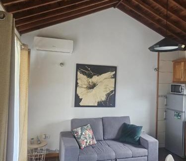 Madalena House | Casa da estrela canopus