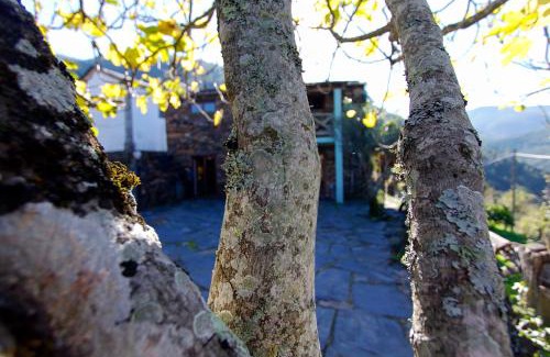 Arouca House | Casa da Figueira - Rio Paiva