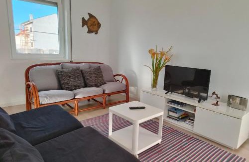 Sao Jacinto Apartment | Casa da Ilha dos Ovos