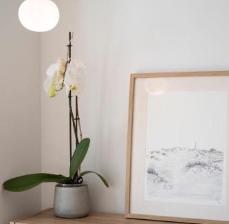 Figueira da Foz House | Casa da Serra