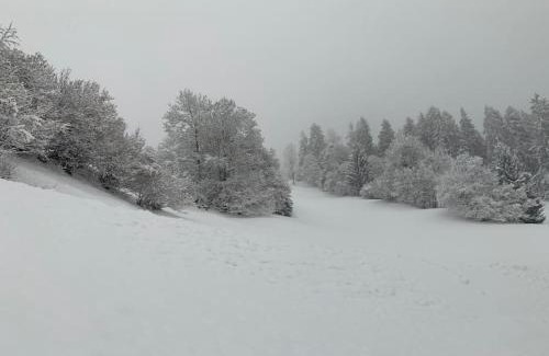 Flond Apartment | Casa da Tini
