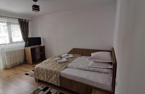 Moeciu de Sus House | Casa Dana Olteanu