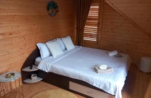 Panaci House | Casa Dani