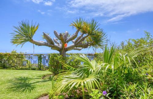 Sao Goncalo Villa | Casa das Bromélias, a Home in Madeira