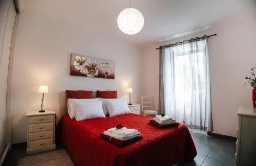 Capelas House | Casa das Palmeiras