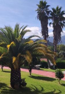 Cova Apartment | Casa das Pedras