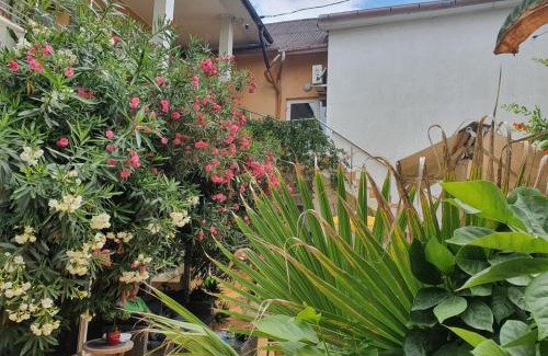 Eforie Sud House | Casa Day&Amy